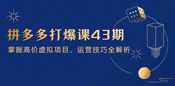 拼多多打爆课第 43 期，掌握高价虚拟项目，运营技巧全解析（15节）-中创网_分享创业项目_助您在家赚钱