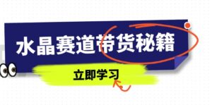 (14406期)水晶赛道带货秘籍,国学结合、短视频起号、拍摄技巧、直播话术等内容-中创网_分享创业项目_助您在家赚钱