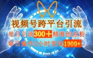视频号跨平台引流，单日操作2小时，单日引流300+精准创业粉，单日变现数张-中创网_分享创业项目_助您在家赚钱