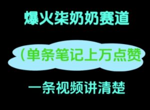 小红书爆火柒奶奶，13 天涨粉 8.7 W，全流程拆解-中创网_分享创业项目_助您在家赚钱