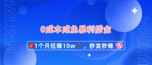 （14257期）0成本闲鱼暴利捞金，1个月狂赚10W+，秒发秒赚新玩法-中创网_分享创业项目_助您在家赚钱