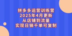 (14469期)拼多多运营训练营2025年4月更新,从店铺到流量,实现日销千单可复制-中创网_分享创业项目_助您在家赚钱