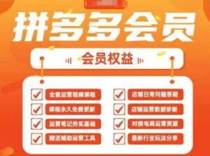 2025拼多多运营实战课,40节全流程教学,覆盖拼多多运营全链路-中创网_分享创业项目_助您在家赚钱