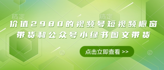 价值2980的视频号短视频橱窗带货和公众号小绿书图文带货-中创网_分享创业项目_助您在家赚钱