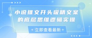 小说推文开头吸睛文案的底层思维逻辑实操-中创网_分享创业项目_助您在家赚钱