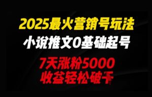 2025最火营销号玩法：小说推文0基础起号，7天涨粉5000，收益轻松破k-中创网_分享创业项目_助您在家赚钱