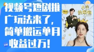 视频号短剧推广最新玩法,简单搬运单月收益过W,小白也能轻松上手-中创网_分享创业项目_助您在家赚钱
