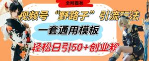 视频号“野路子”玩法，评论区疯狂截流，一套模板单日单号引流50+创业粉-中创网_分享创业项目_助您在家赚钱