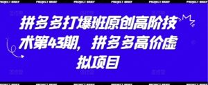 拼多多打爆班原创高阶技术第43期,拼多多高价虚拟项目-中创网_分享创业项目_助您在家赚钱