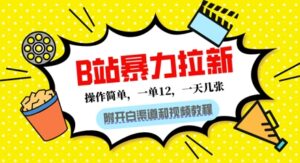B站暴力拉新:一单12,一天几张,0门槛拉新(附渠道和教程)-中创网_分享创业项目_助您在家赚钱