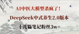 AI中医大模型杀疯了!DeepSeek中式养生2.0版本,十几篇笔记粉丝3w+-中创网_分享创业项目_助您在家赚钱