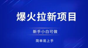 爆火拉新项目，有手就行，小白轻松入门，日入1张拉新整套流程-中创网_分享创业项目_助您在家赚钱