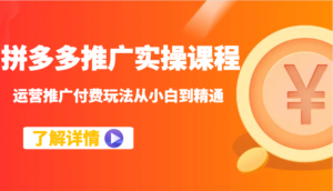 拼多多推广实操课程:运营推广付费玩法从小白到精通-中创网_分享创业项目_助您在家赚钱