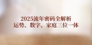 （14466期）2025流年密码全解析，运势、数字、家庭三位一体-中创网_分享创业项目_助您在家赚钱