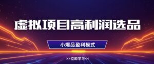 虚拟项目高利润选品方法,做好单店利润1W+,可多店倍增利润-中创网_分享创业项目_助您在家赚钱