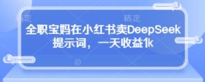 全职宝妈在小红书卖DeepSeek提示词，一天收益1k-中创网_分享创业项目_助您在家赚钱