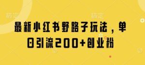 最新小红书野路子玩法，单日引流200+创业粉-中创网_分享创业项目_助您在家赚钱