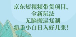 京东短视频带货项目,全新玩法,无脑搬运复制,新手小白日入好几张!-中创网_分享创业项目_助您在家赚钱