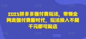 2025拼多多强付费玩法，带领全网走强付费新时代，玩法投入不超千元即可起店-中创网_分享创业项目_助您在家赚钱