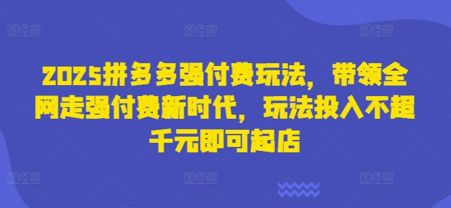 2025拼多多强付费玩法，带领全网走强付费新时代，玩法投入不超千元即可起店-中创网_分享创业项目_助您在家赚钱