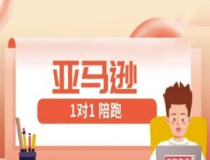 亚马逊1对1陪跑课(FBA/FBM精铺)跨境亚马逊教程-中创网_分享创业项目_助您在家赚钱