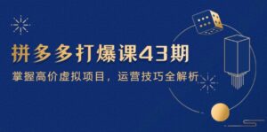 (14546期)拼多多打爆课第 43 期,掌握高价虚拟项目,运营技巧全解析(15节)-中创网_分享创业项目_助您在家赚钱
