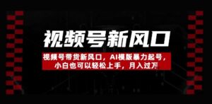 视频号带货新风口,AI模版暴力起号,小白也可以轻松上手,月入过W-中创网_分享创业项目_助您在家赚钱