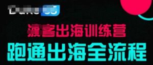 出海训练营基础课,跑通出海全流程,实战案例拆解-中创网_分享创业项目_助您在家赚钱