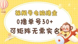 （14220期）视频号电脑撸金 0撸单号30+ 可矩阵 无需实名多号多得-中创网_分享创业项目_助您在家赚钱