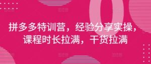 拼多多特训营,经验分享实操,课程时长拉满,干货拉满(更新25年4月)-中创网_分享创业项目_助您在家赚钱