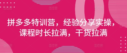 拼多多特训营，经验分享实操，课程时长拉满，干货拉满(更新25年4月)-中创网_分享创业项目_助您在家赚钱