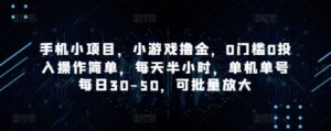 手机小项目，小游戏撸金，0门槛0投入操作简单，每天半小时，单机单号每日30-50，可批量放大-中创网_分享创业项目_助您在家赚钱