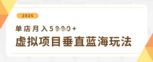 虚拟产品垂直变现方案，单账号月入5000+实操指南-中创网_分享创业项目_助您在家赚钱