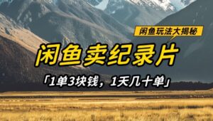 闲鱼卖纪录片1单3块钱，1天几十单，项目稳定有潜力-中创网_分享创业项目_助您在家赚钱