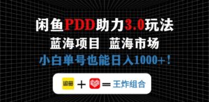 (14516期)闲鱼卖拼多多助力项目,蓝海市场新手也能单号日入1000+-中创网_分享创业项目_助您在家赚钱