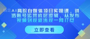 AI高阶自媒体项目实操课,讲透账号运营底层逻辑,从发布视频到规避违规一网打尽-中创网_分享创业项目_助您在家赚钱