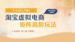 淘宝虚拟电商进阶玩法,多店矩阵倍增收益,单人月入1W+-中创网_分享创业项目_助您在家赚钱