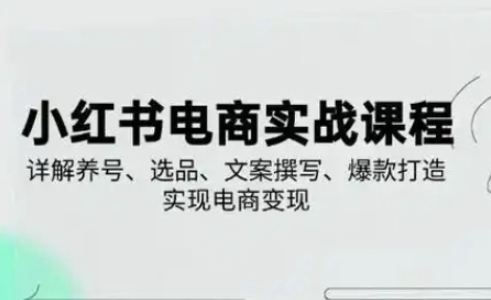 小红书从0-1实操课(2023-2025)，详解养号、选品、文案撰写、爆款打造实现电商变现-中创网_分享创业项目_助您在家赚钱