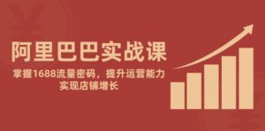 (14830期)阿里巴巴实战课:掌握1688流量密码,提升运营能力,实现店铺增长-中创网_分享创业项目_助您在家赚钱