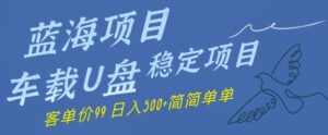 蓝海项目车载U盘稳定项目,挣的就是信息差,客单价99,日入几张简简单单-中创网_分享创业项目_助您在家赚钱