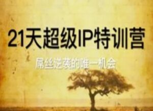 21天超级IP特训营,屌丝逆袭的唯一机会-中创网_分享创业项目_助您在家赚钱
