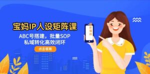 宝妈IP人设矩阵课:ABC号搭建,批量SOP,私域转化高效闭环-中创网_分享创业项目_助您在家赚钱