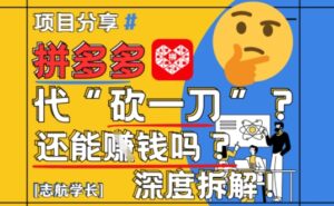 【2025最新】拼多多代坎助力项目深度拆解：还能挣钱吗?全流程玩法-中创网_分享创业项目_助您在家赚钱