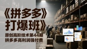 《拼多多打爆班》原创高阶技术第44期,拼多多高利润强付费-中创网_分享创业项目_助您在家赚钱