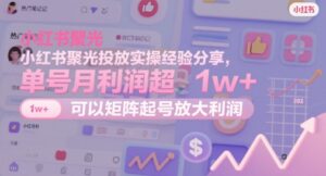 小红书聚光投放实操经验分享,单号月利润超1w+,可以矩阵起号放大利润-中创网_分享创业项目_助您在家赚钱