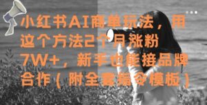 小红书AI商单玩法，用这个方法2个月涨粉7W+，新手也能接品牌合作(附全套指令模板)-中创网_分享创业项目_助您在家赚钱