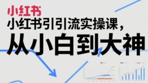 小红书引流实操课,从小白到大神-中创网_分享创业项目_助您在家赚钱