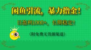 （14647期）闲鱼引流，暴力撸金，日盈利1000+，长期稳定！（附免费无货源渠道）-中创网_分享创业项目_助您在家赚钱