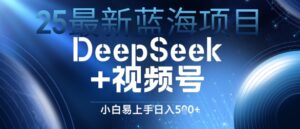 25最新蓝海项目DeepSeek+视频号，小白易上手日入几张-中创网_分享创业项目_助您在家赚钱