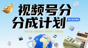 视频号2025治愈系新赛道，100%原创视频，几分钟一条原创视频-中创网_分享创业项目_助您在家赚钱